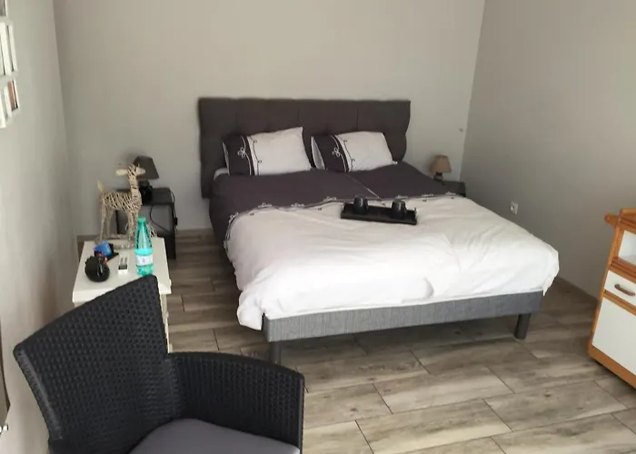 Alaguyauder Le 3* Chatillon-sur-Broue